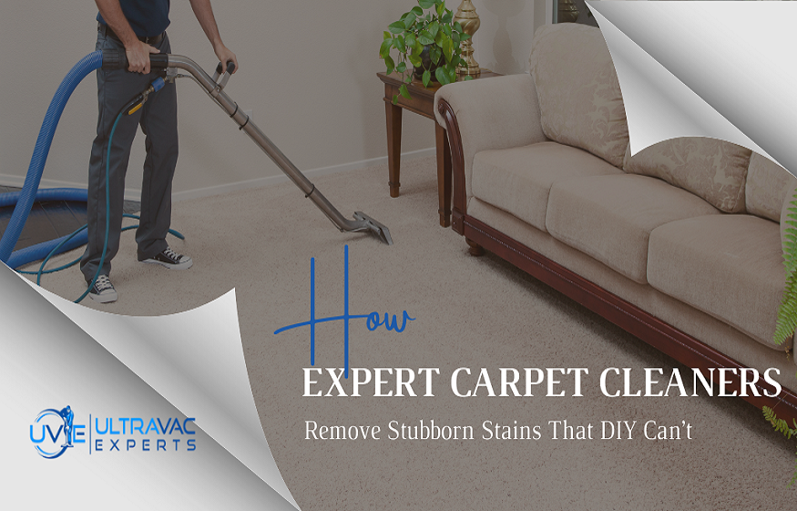 carpet cleaning services