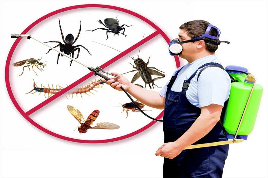 Best Pest Control Company