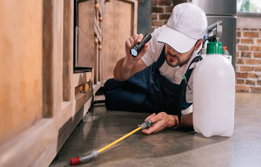 Pest Control Service