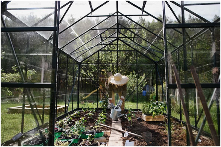 Grow Vegetables At Home